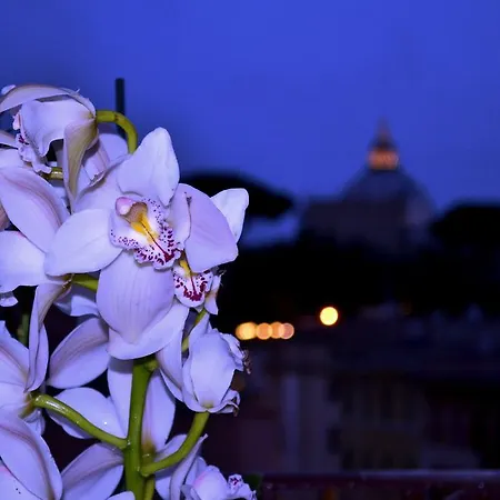 Lejlighed Notti Al Vaticano Rom